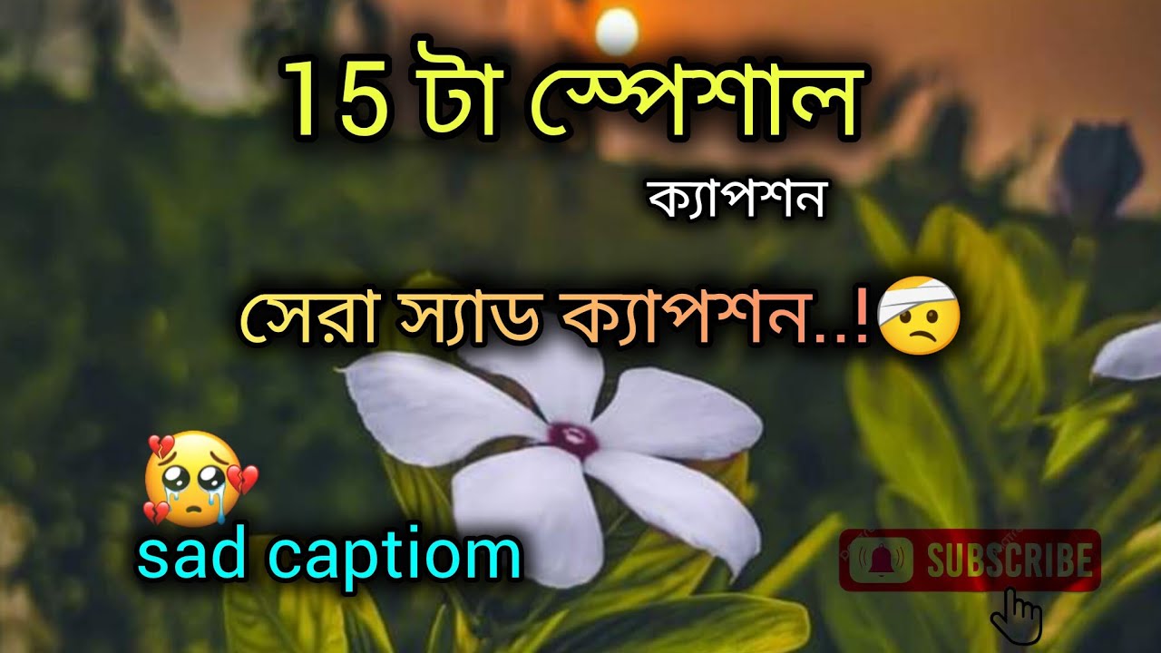 নতুন স্পেশাল সেরা ১৫ টি ক্যাপশন ২০২৫ new special 15 Ti caption 2025 
