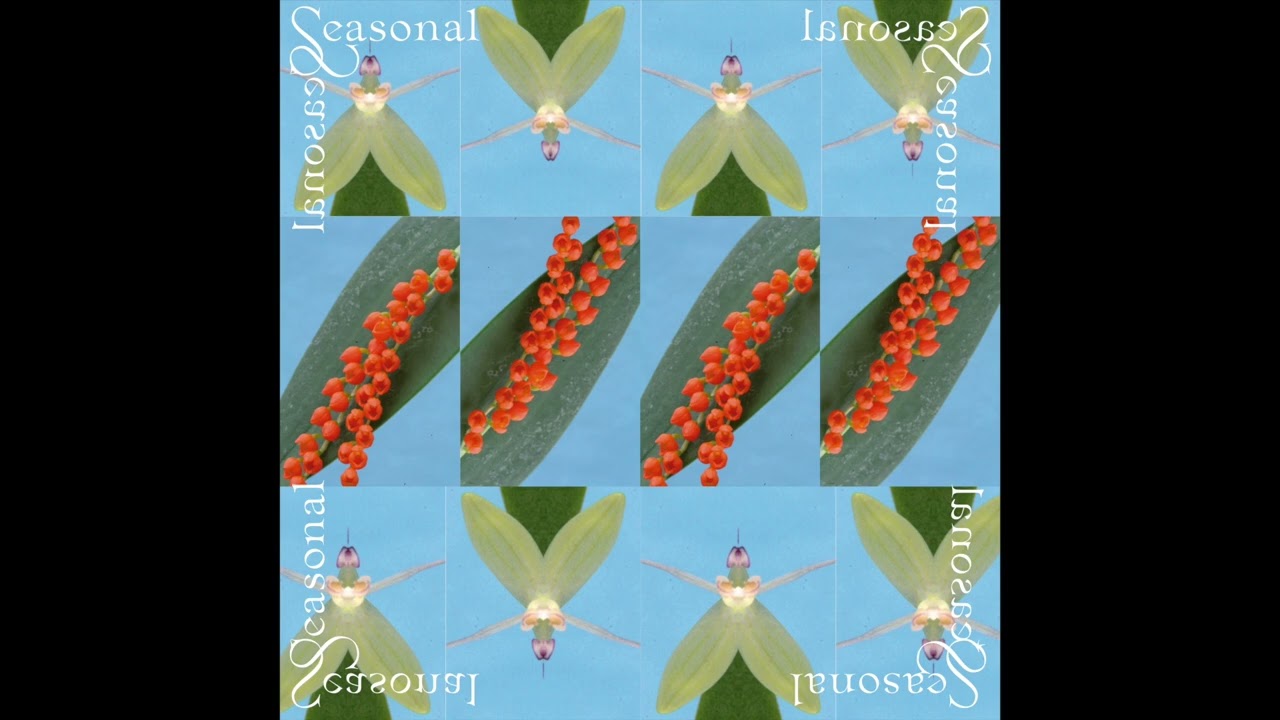 Jordon Alexander - Seasonal