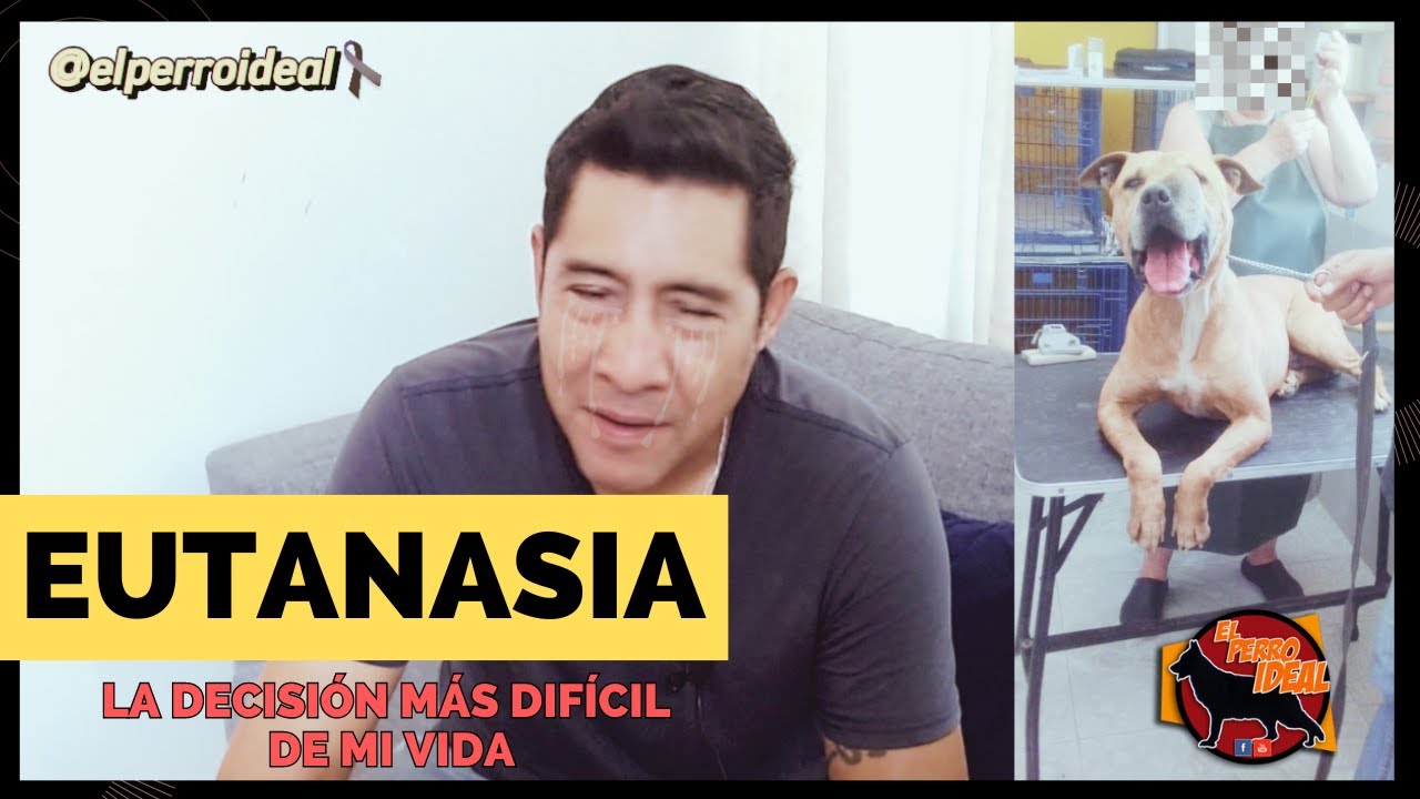 Tuve que DORMIR a mi perro y te explico porqu&eacute; [Hasta Siempre Coffee]