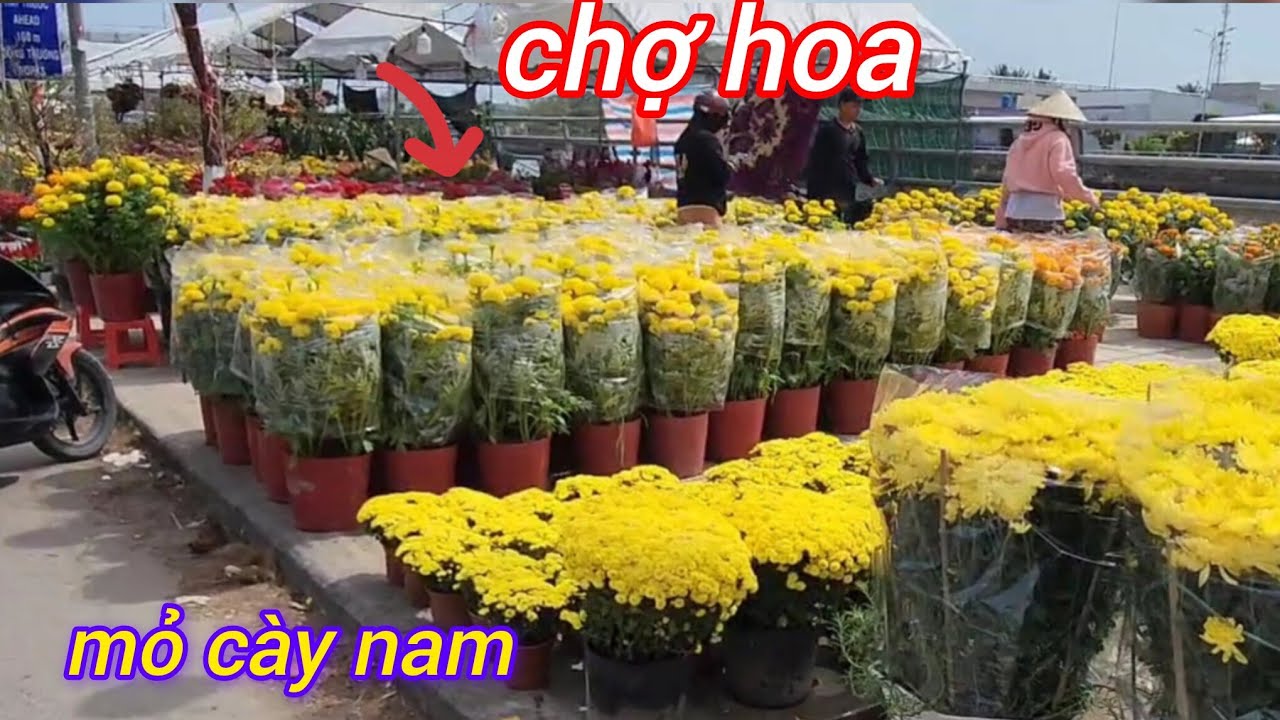 CHỢ HOA MỎ CÀY NAM 26 tết