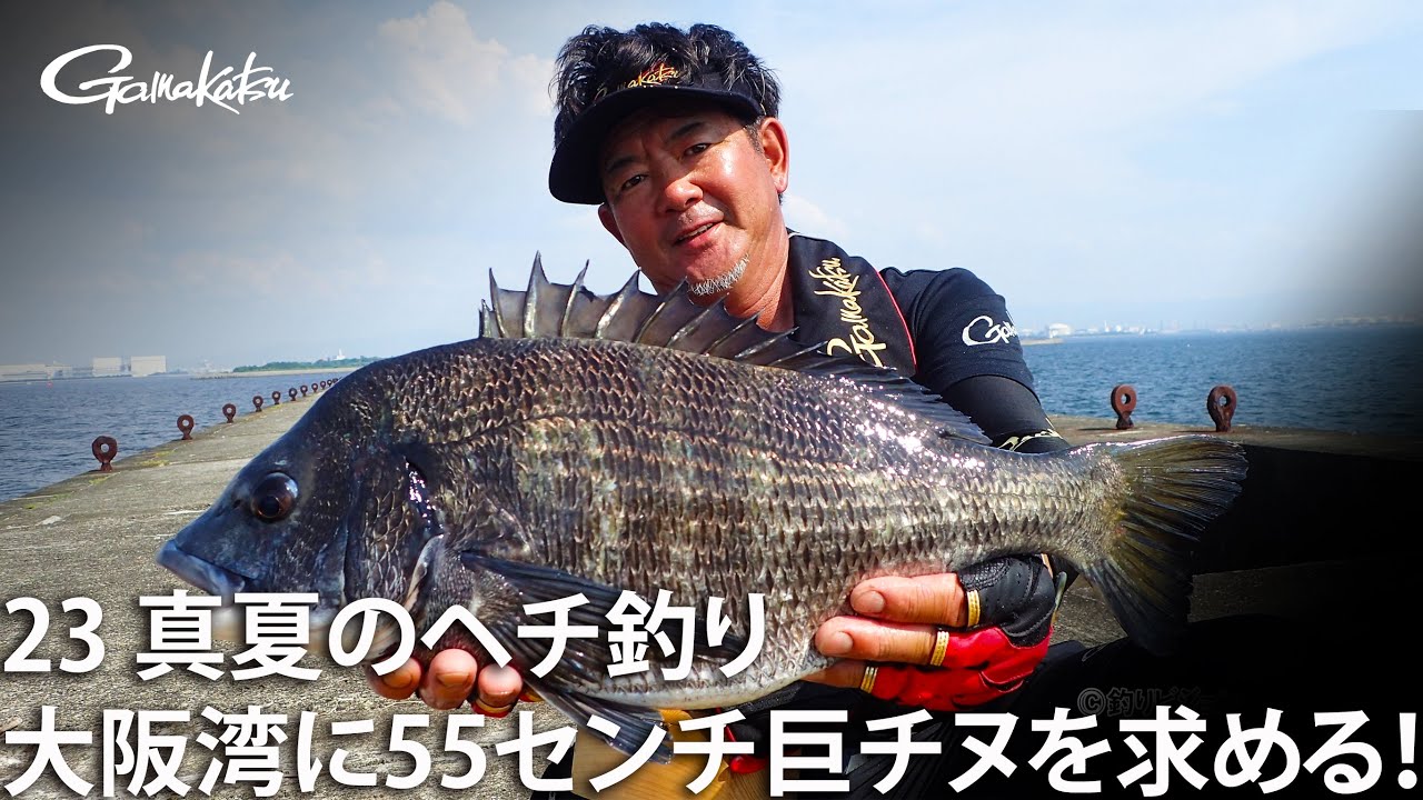真夏のヘチ釣り 大阪湾に55センチオーバーの巨チヌを求める！【G WORLD #23】