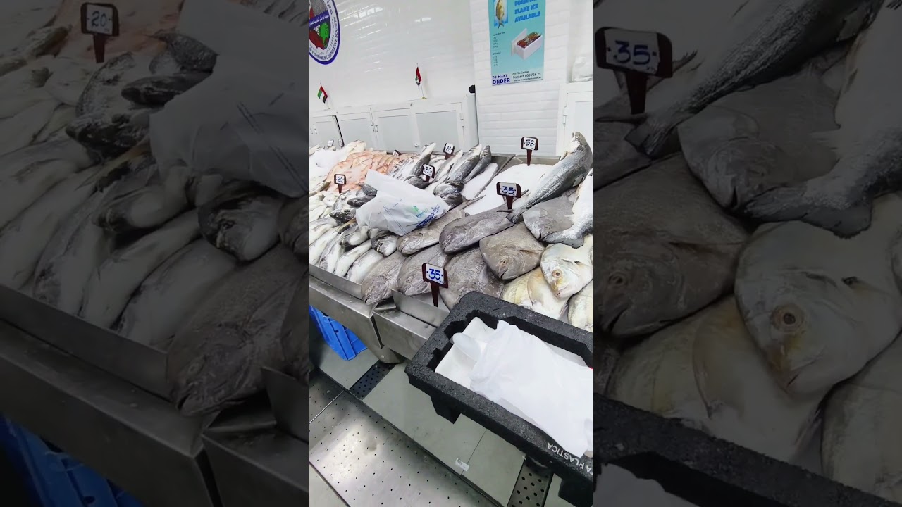 Madinat zayed fish,veg and meat market Abudhabi😍| #market #abudhabi #uae #veg #meat #fish #trending