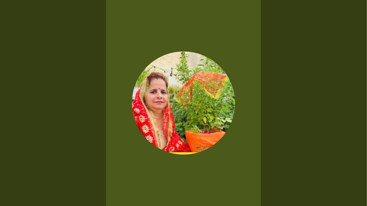 Bulbul puniya is live