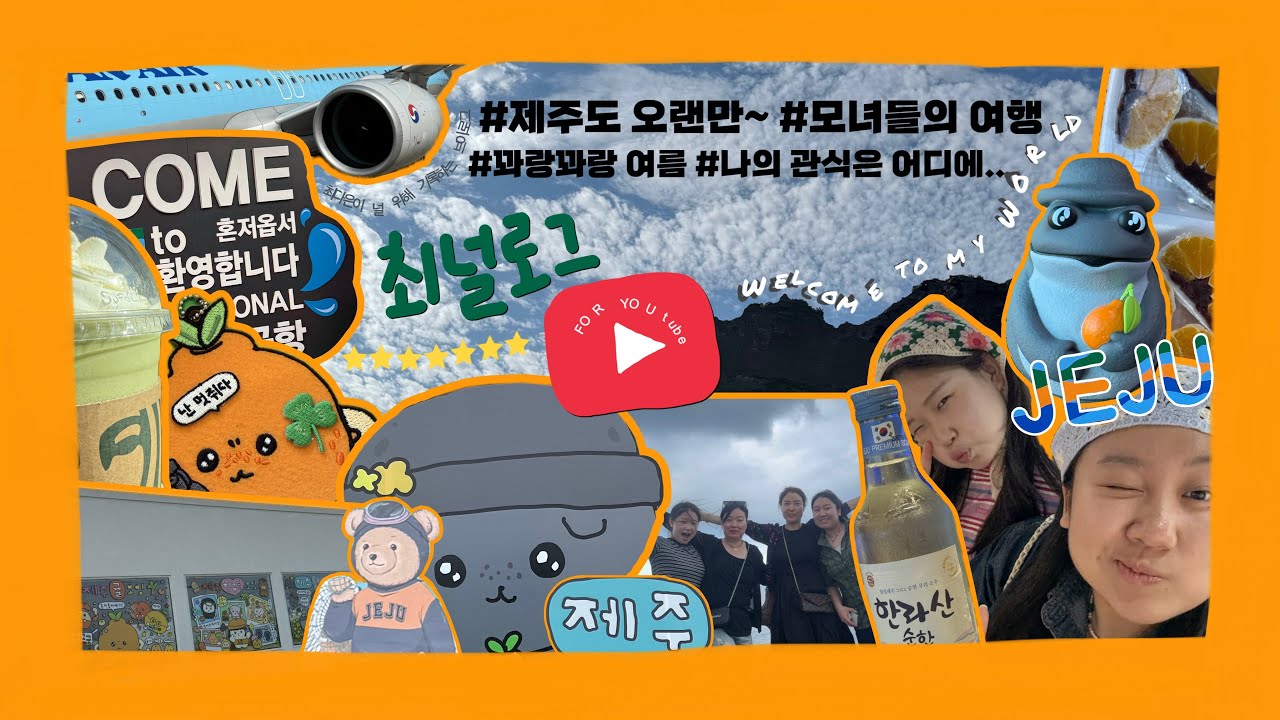 제주도 𝗩𝗹𝗼𝗴🍊