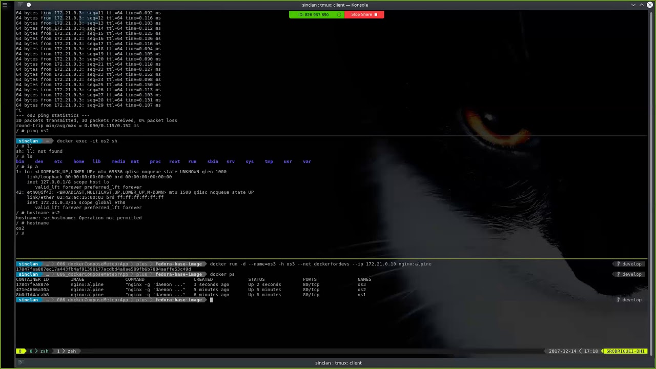 Docker network b&aacute;sico & Docker Compose