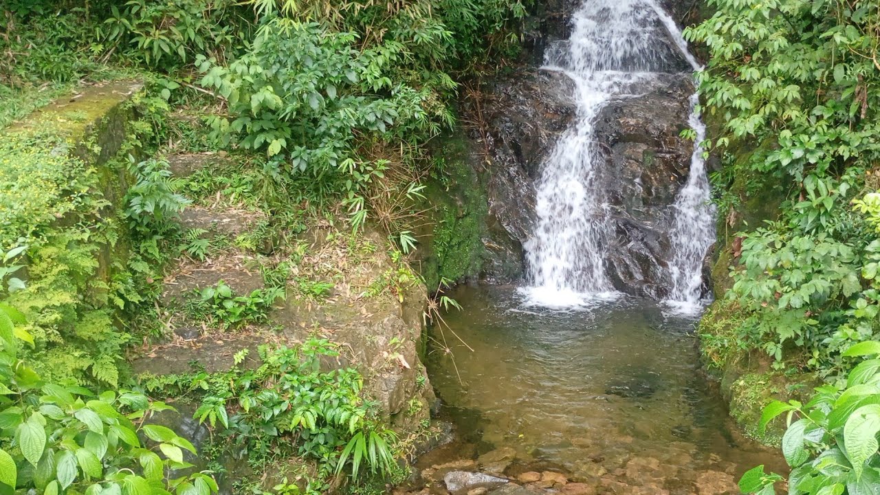 incomparable *** está ao vivo!