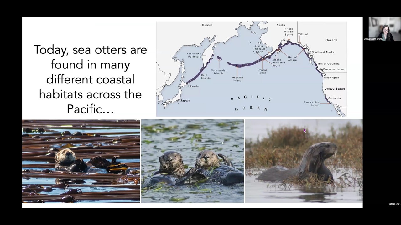 Emma Elliott Smith - Reconstructing historical sea otter ecology: zooarchaeology and stable isotopes
