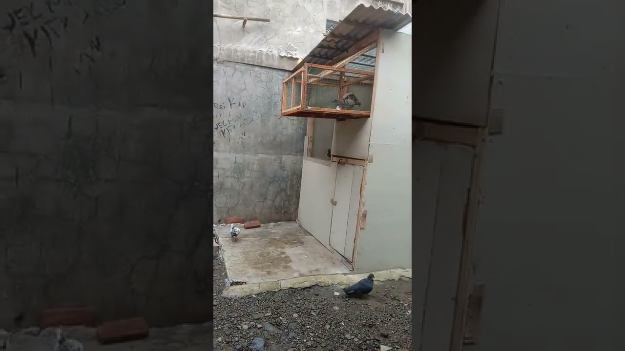 pintu trap sputnik