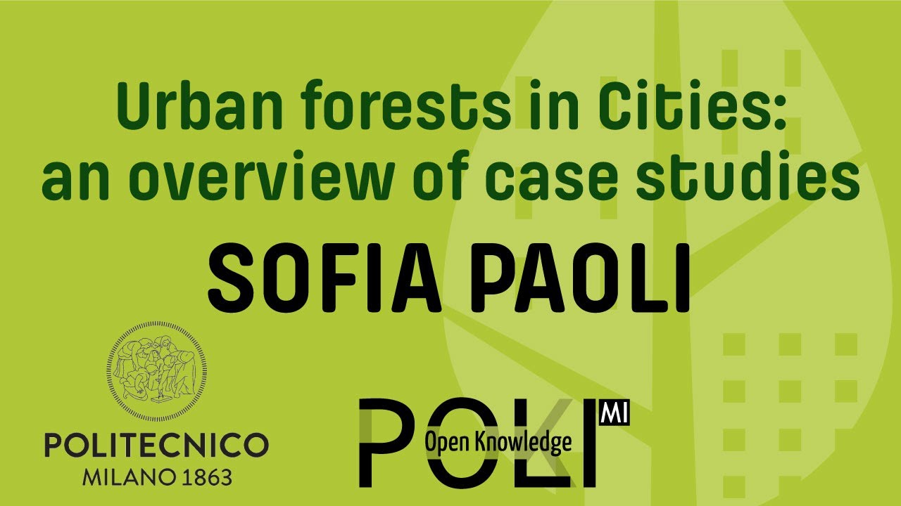 Urban forests in Cities: an overview of case studies