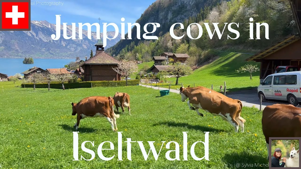 Iseltwald Switzerland - the most beautiful village at Lake Brienz