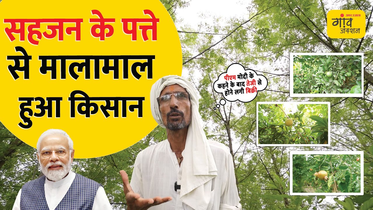 सहजन के पत्तों की खेती से जबरदस्त मुनाफा कमा रहा ये किसान | @gaonjunctionofficial
