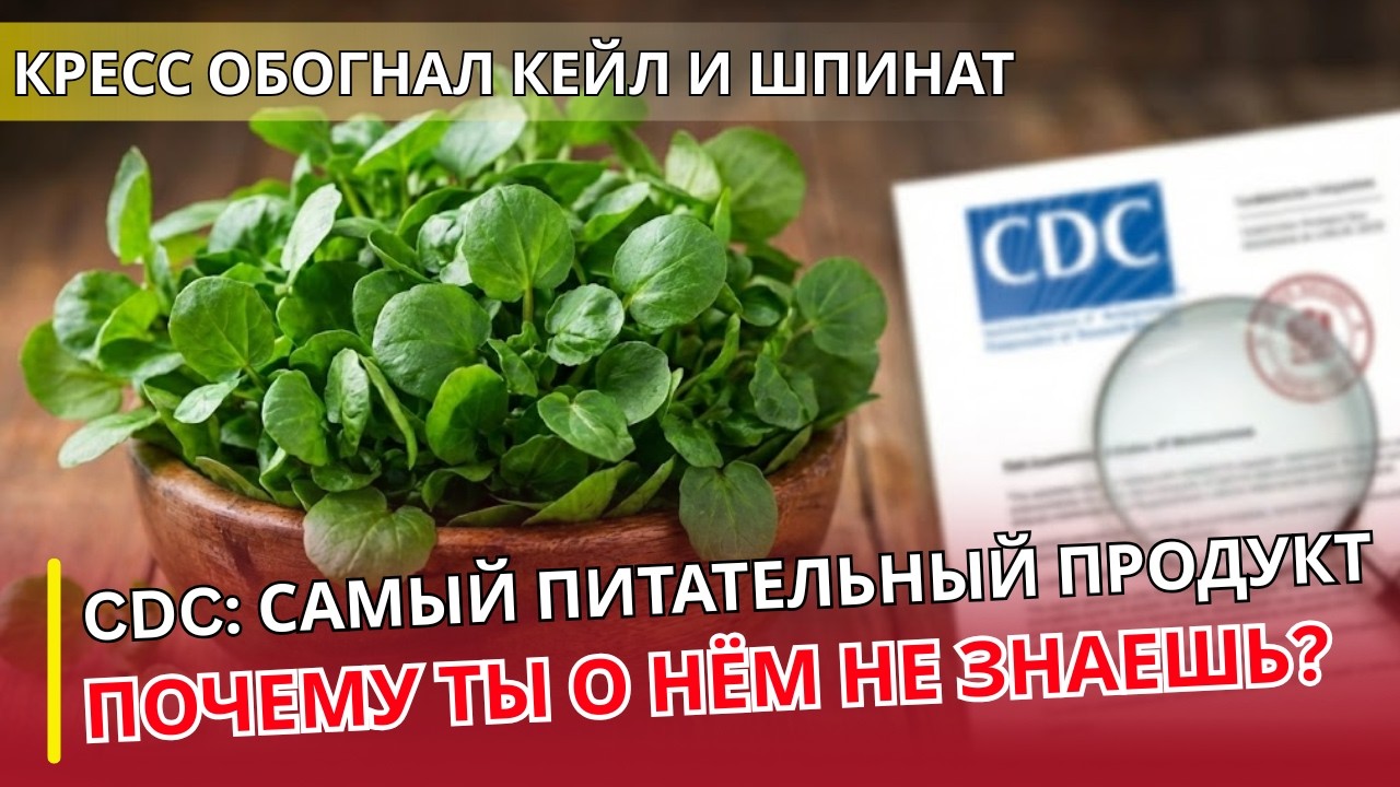 УРОЛОГ ОТВЕЧАЕТ: Самое питательное растение на планете — подтверждено CDC. Почему вы о нём не знали?