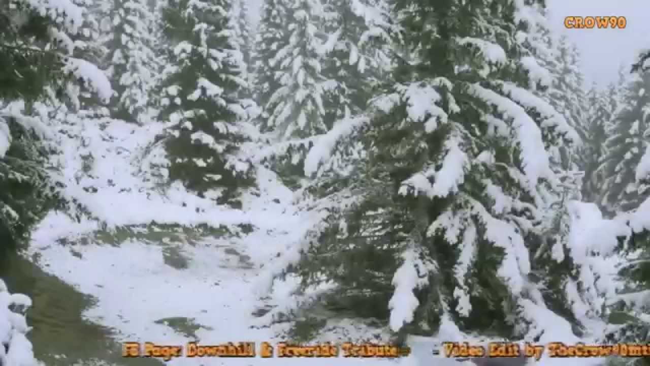 DownHill MUSIC MIX | JANUARY [ 2015 ]