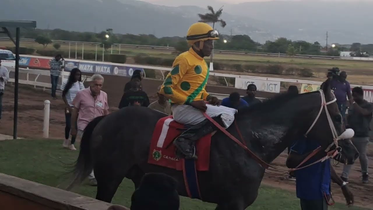 Ride all day wins the Big man intown at Caymanas Park