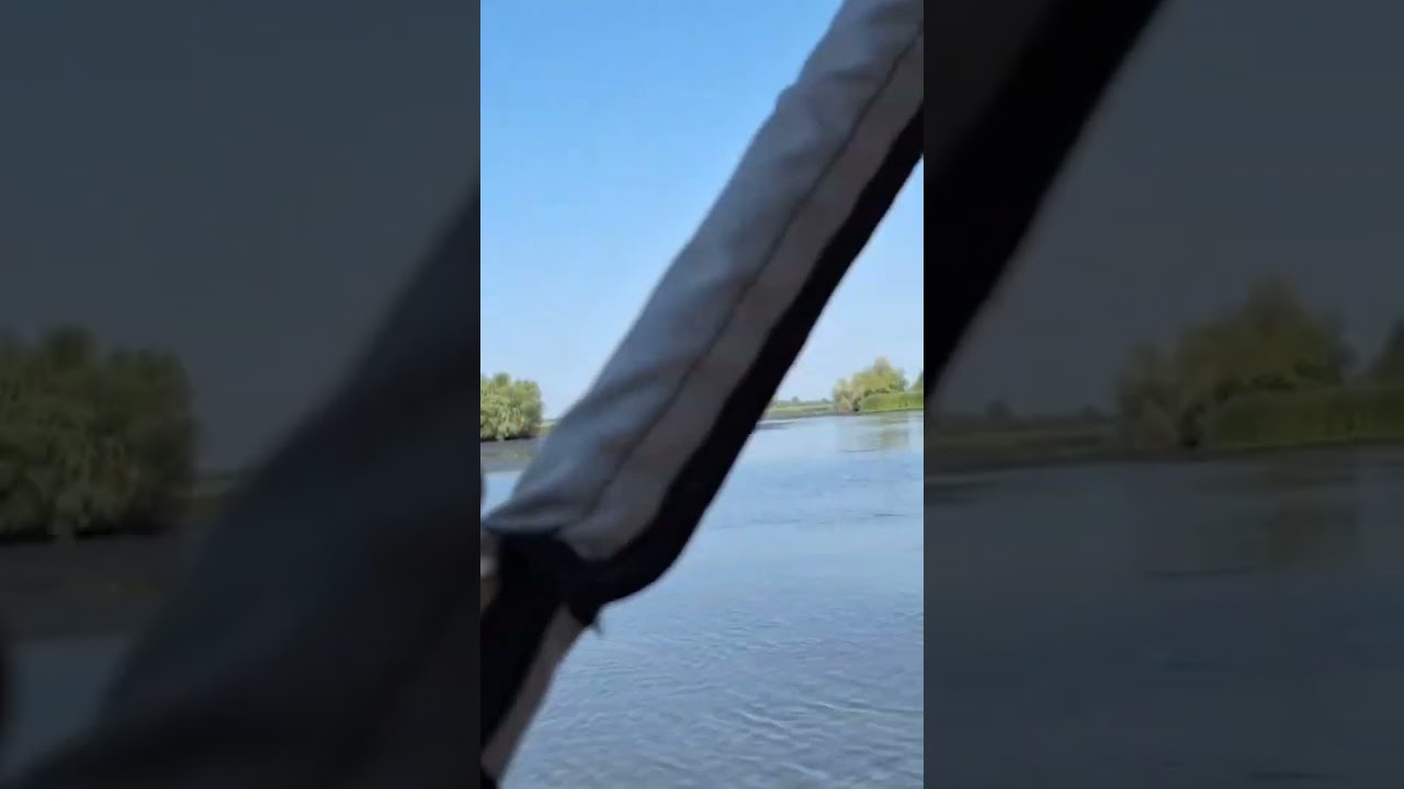 #danubedelta