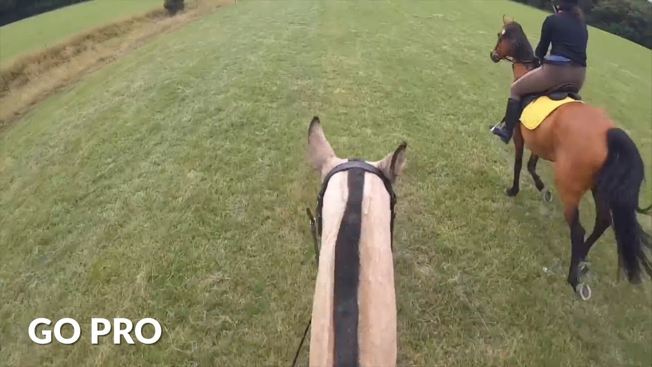 мы любим веселые поездки😆 | GOPRO HACK