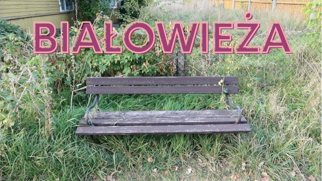 Najpiękniejsze miejsce w Białowieży