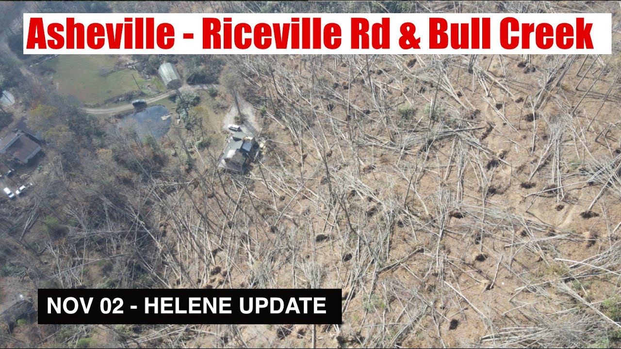 Helene Impact Update Nov 2 - Asheville, Riceville Rd, Bull Creek, Forest Damage & Swannanoa River