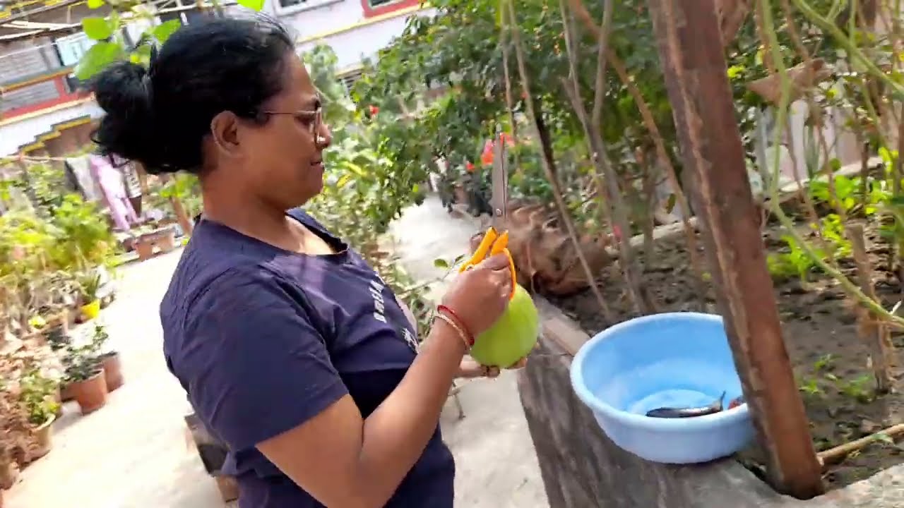 অনু বাগানে স্বাগত। বাগান করেই টাটকা সবজি। #anubagan