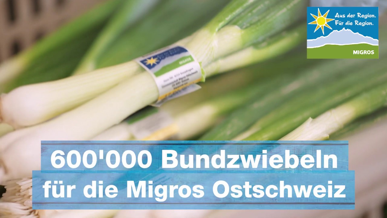 &laquo;Aus der Region. F&uuml;r die Region.&raquo; Ott Gem&uuml;se Basadingen