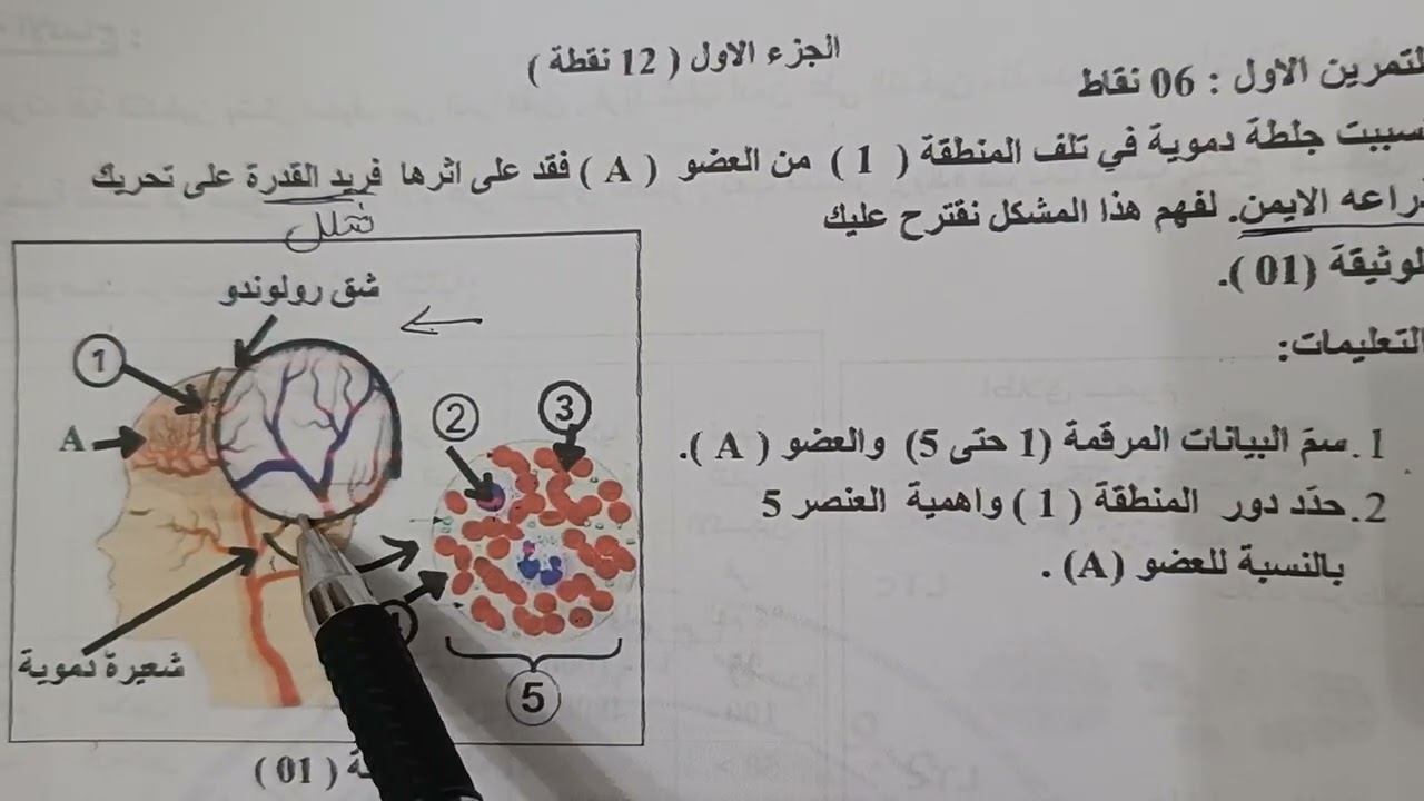 تمرين استدلال علمي ولا أروع حول الاستجابة المناعية اللانوعية.السنة الرابعة متوسط 