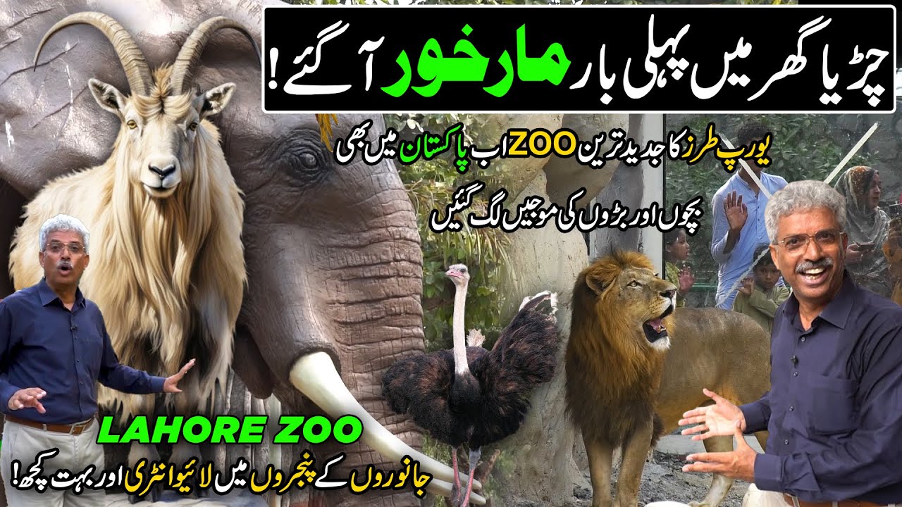 Europe Style Zoo Now In Pakistan | Lahore Zoo Reopened 2024 | Markhor's In Zoo | Discover Pakistan