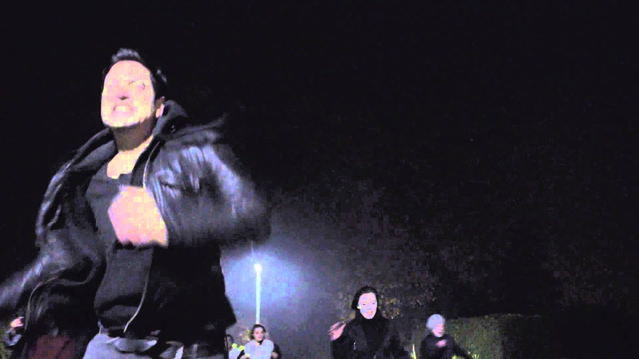 NE Shock trailer