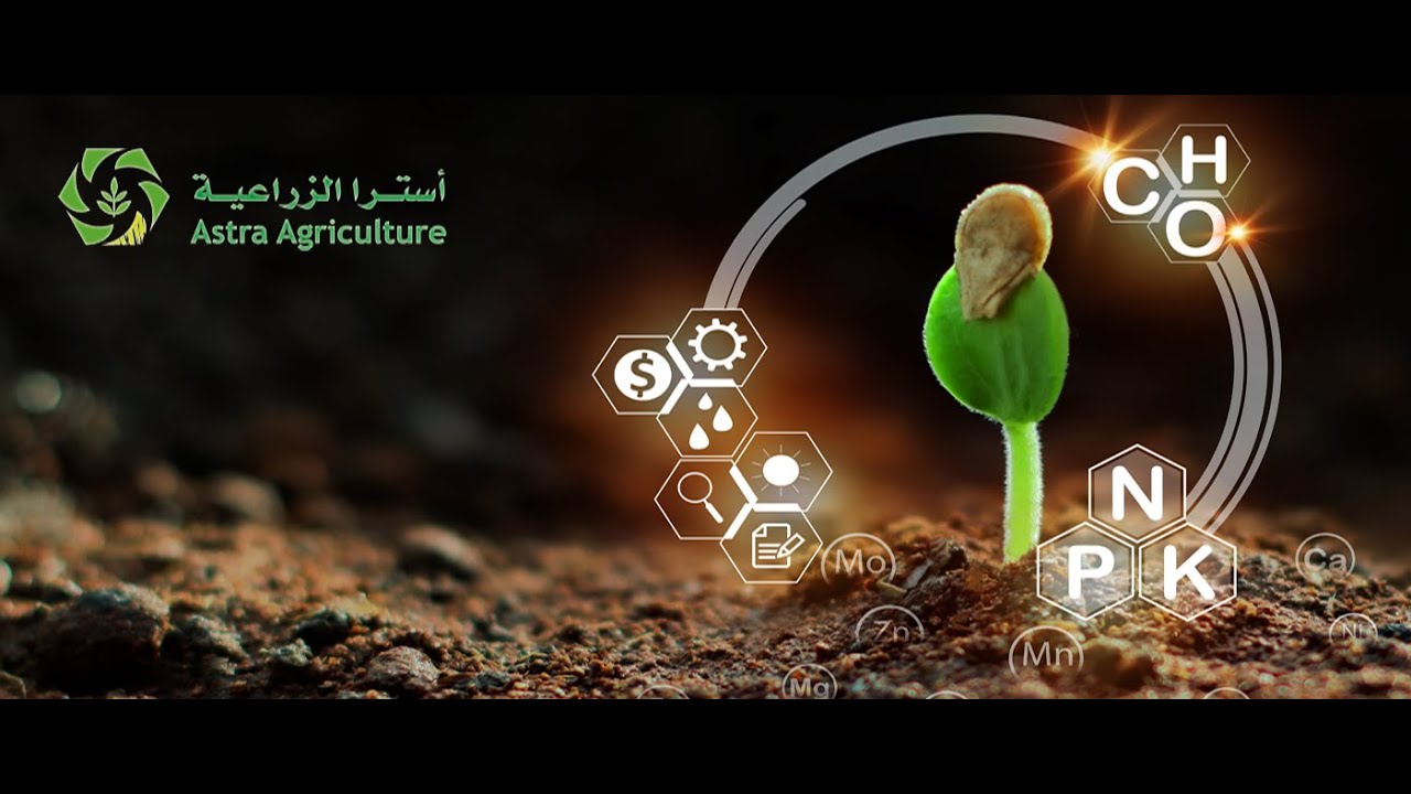 مستخلص الأعشاب البحرية من شركة أستراكيم