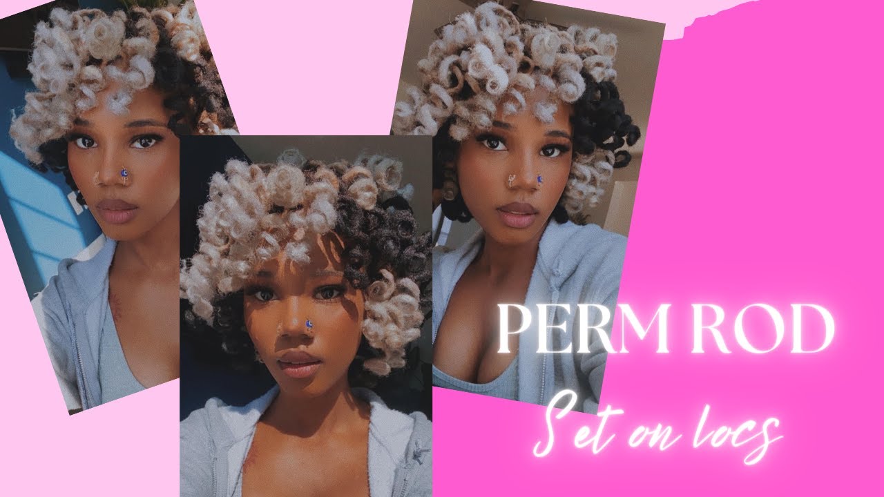 Perm rod set on collar bone length locs | Goldey loc