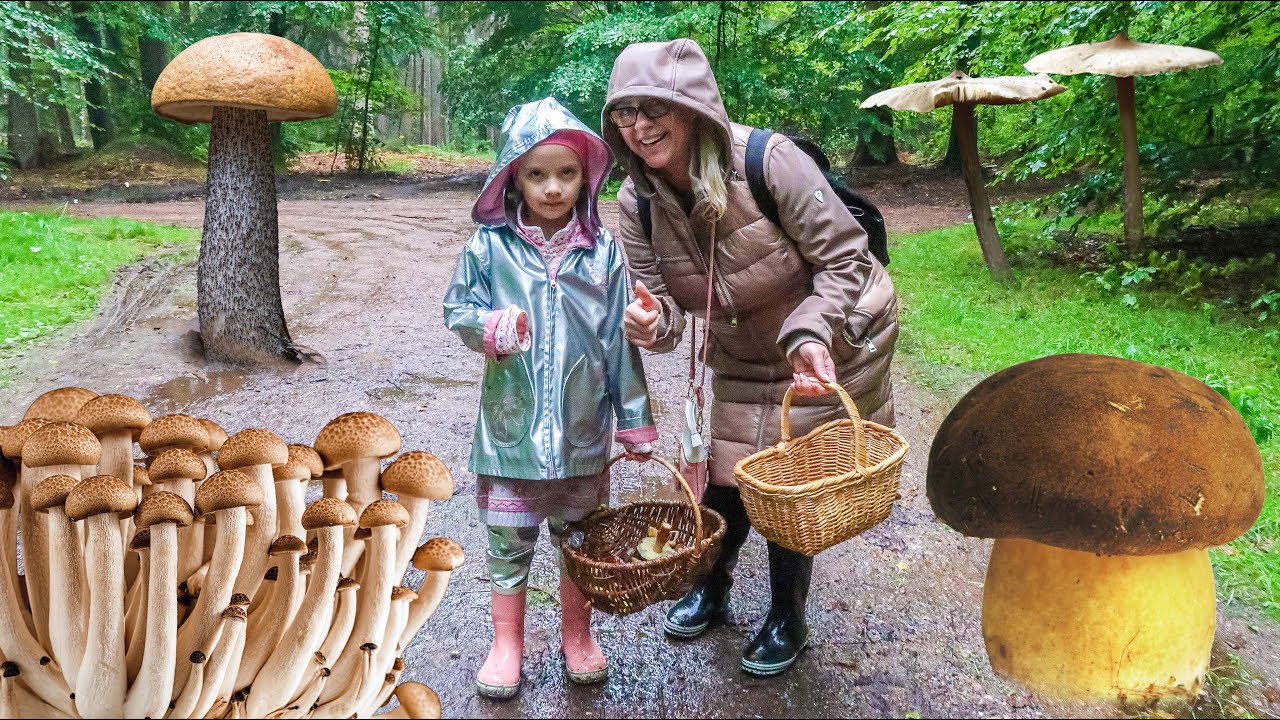 Paulina (5 Jahre) findet ganz viele Pilze 🍄 Pilze Sammeln für Kinder