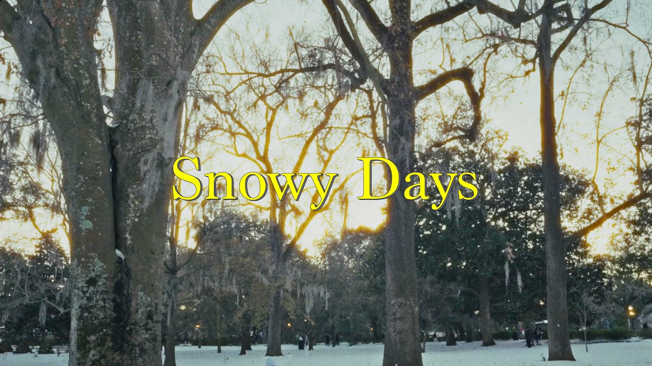 Snowy Days