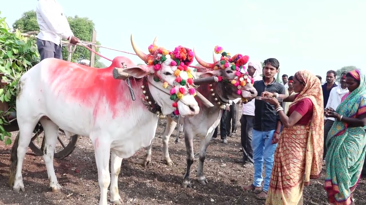 Dipali Weds Kishor Marriage Video Part-1 दिपाली संग किशोर लग्न सोहळा व्हिडीओ सागर फोटोज्