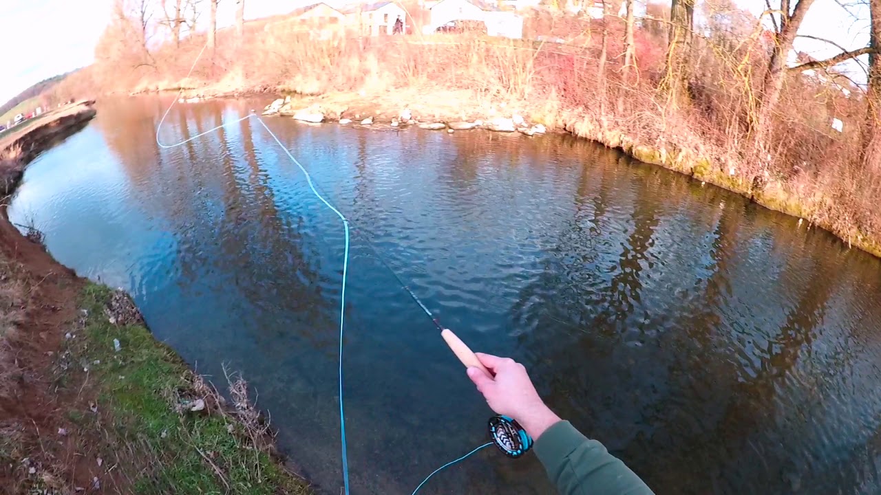 UL Fly Fishing Rod 6' #1 Hardy Ultraclick Test