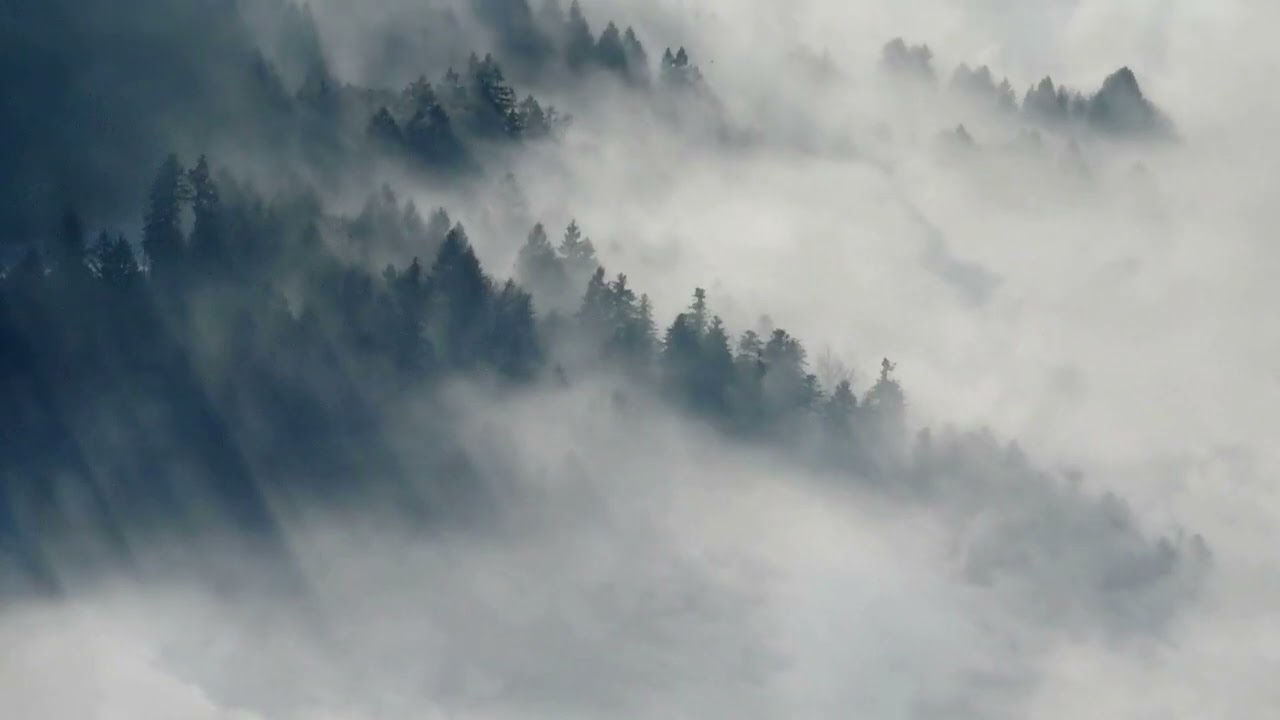 PLACHET Video