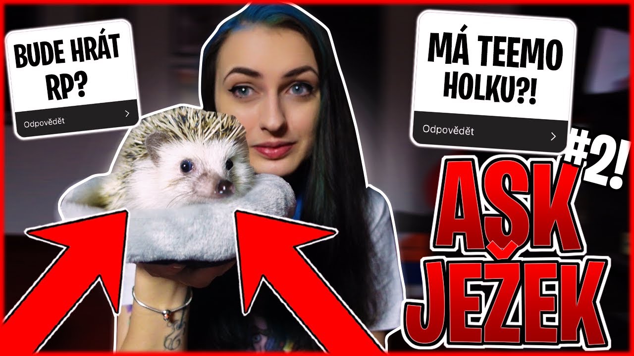 BUDE S TEBOU HRÁT JEŽEK RP?! | ASK JEŽEK #2!!