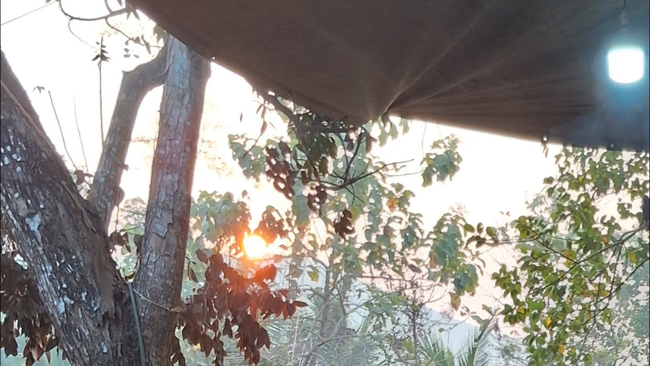 ഹാപ്പി സൺഡേ....