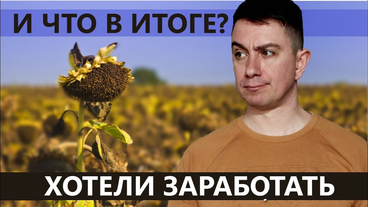Итоги засухи 2024 года. Считаем урожайность подсолнечника. Рапс. Строительство линии в разгаре.