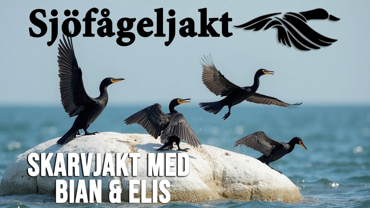Skarvjakt med Bian & Elis