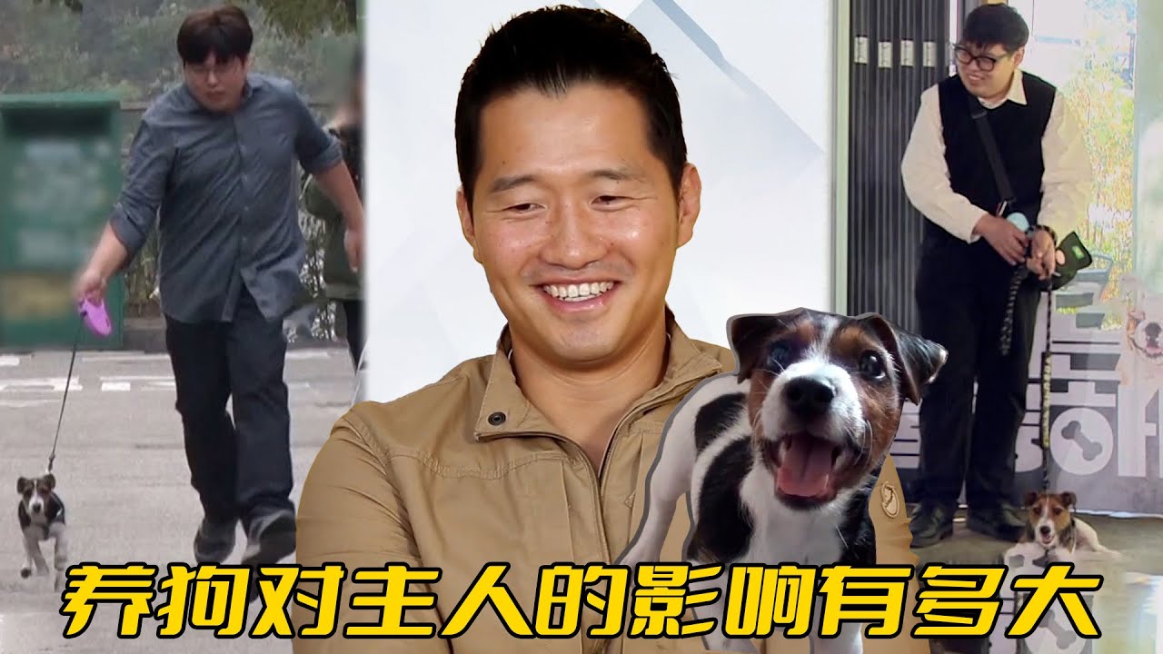 為了養好這條狗，男主人一年暴瘦80斤，三度被訓犬師邀請亮相節目