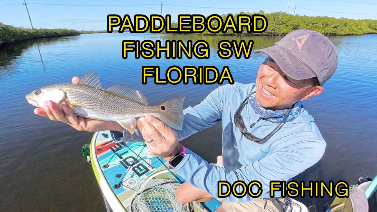 Paddleboard Fishing in SW Florida