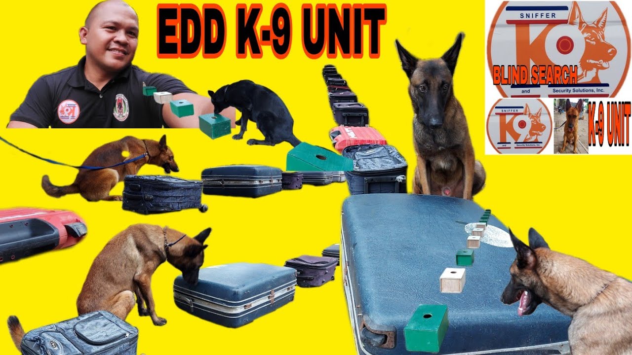 EDD K-9 UNIT MAINTENANCE TRAINING WITH K9 HANDLERS /Jan.05,2021