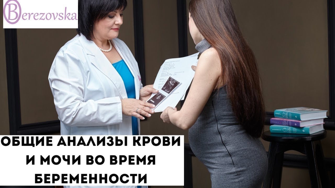 Общие анализы крови и мочи при беременности @DrOlenaB