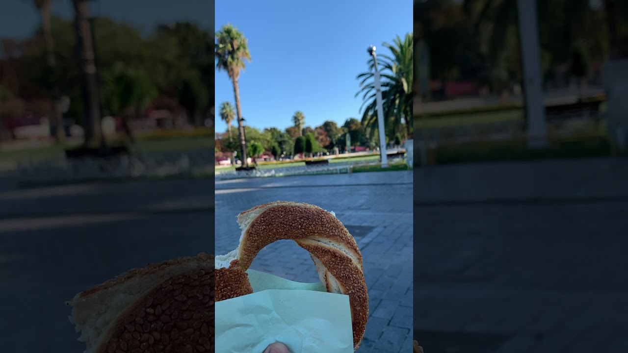 Istanbul | turkey | istanbul walkstreet