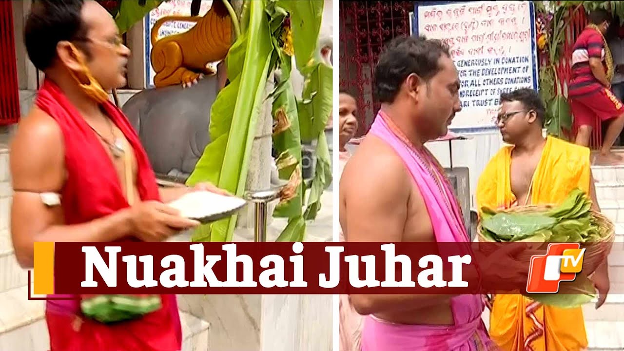 Nuakhai Festival: Agrarian Fest Celebrated In Western Odisha | OTV News