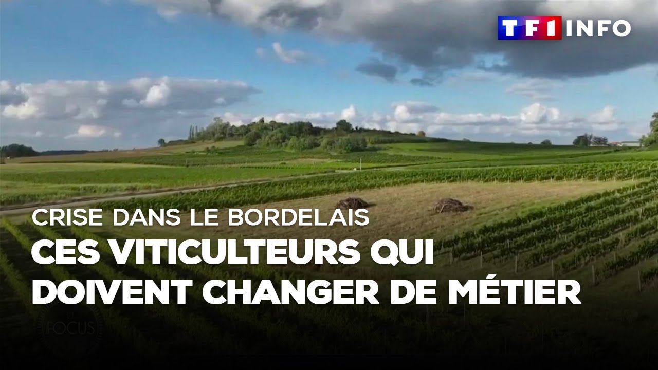 Crise dans le bordelais : ces viticulteurs qui doivent changer de métier