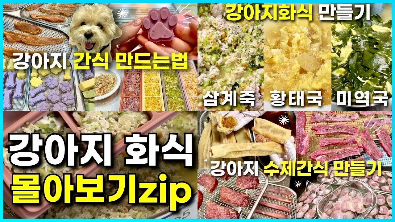 🐶 집에서 손쉽게 만드는 강아지 간식, 화식 만들기 몰아보기.zip📁
