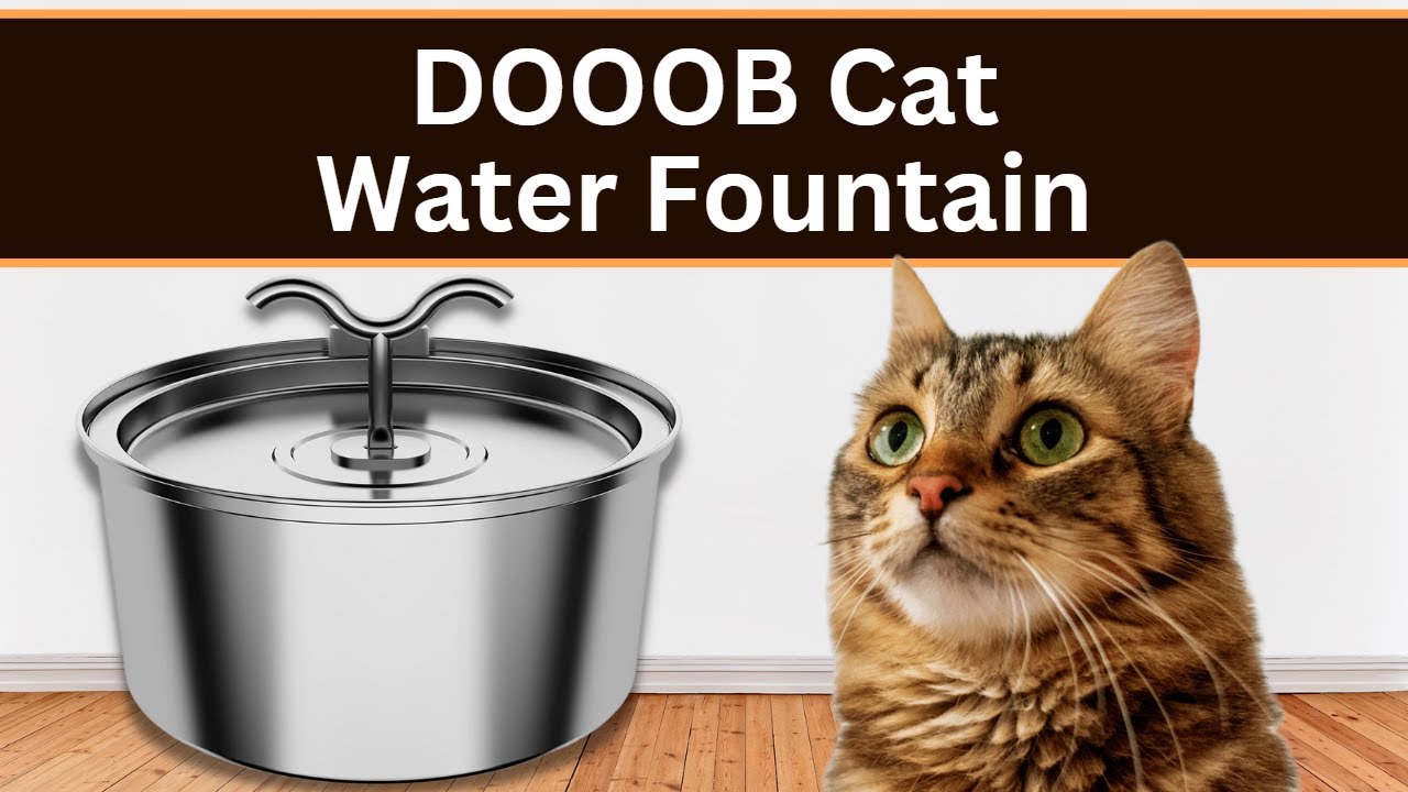 DOOOB Cat Water Fountain