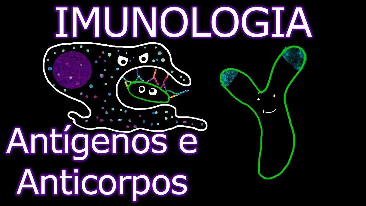 Aula: Imunologia - Ant&iacute;genos e Anticorpos | Imunologia #7