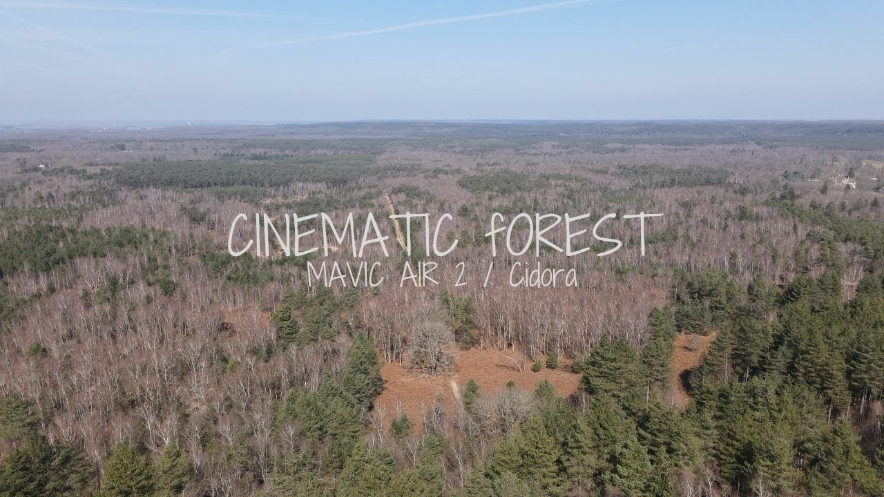 F&ocirc;ret de Rambouillet Cinematic - Mavic Air 2 / Cidora 4K