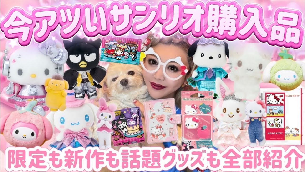 【爆買い】サンリオグッズ購入品紹介🌈ピューロ限定🍎サンリオショップ新作🍓流行りのシールやバインダーまで全部見せ💗🪽